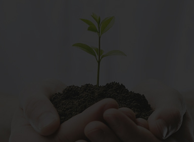 1xBET Signup(中国)-官方网站