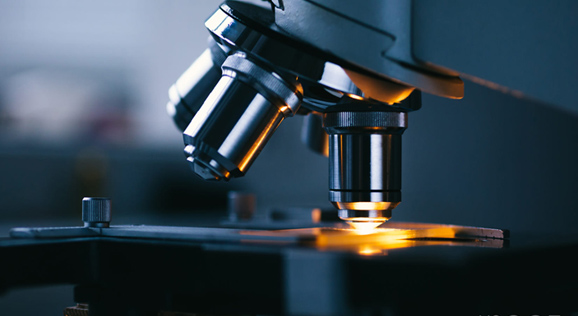 1xBET Signup(中国)-官方网站